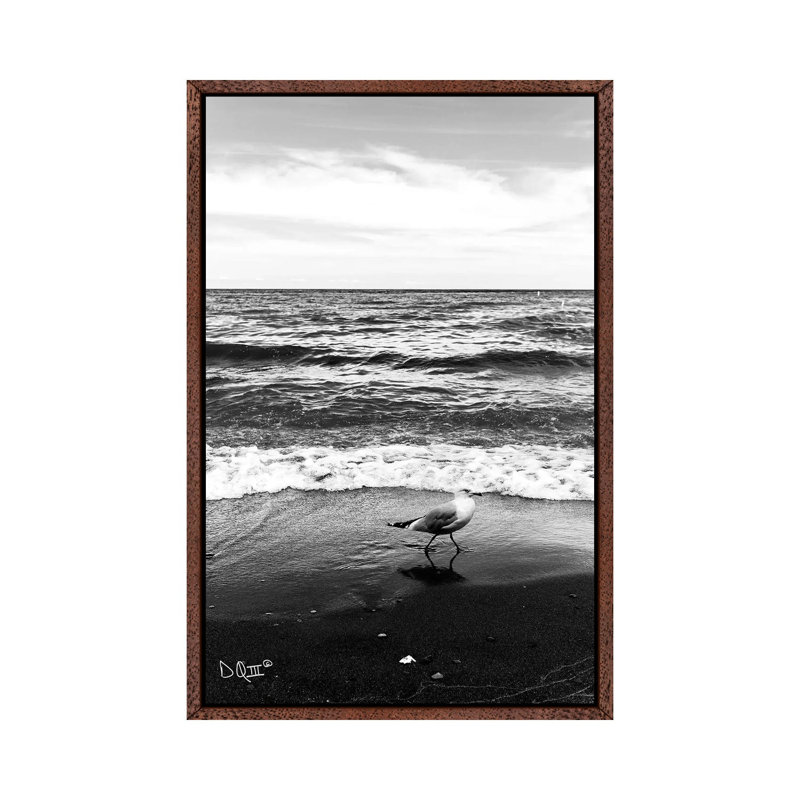 Seagull I by Donnie Quillen - Print on Canvas, 66.04cm H x 45.72cm W x 3.81cm D, Classic Brown Wood Framed