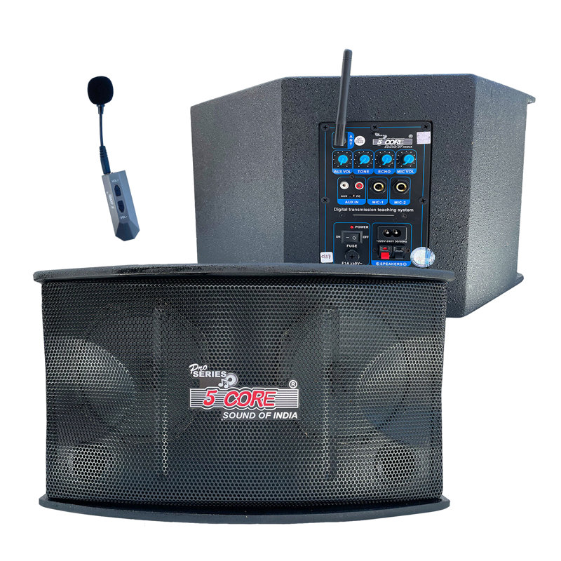 5 Core Voice Amplifier 200W Active Portable PA Speaker System w/ Wireless Lavalier Microphone 5C APS