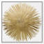 Sunburst Adore - impression-119405849-72508287-72508280