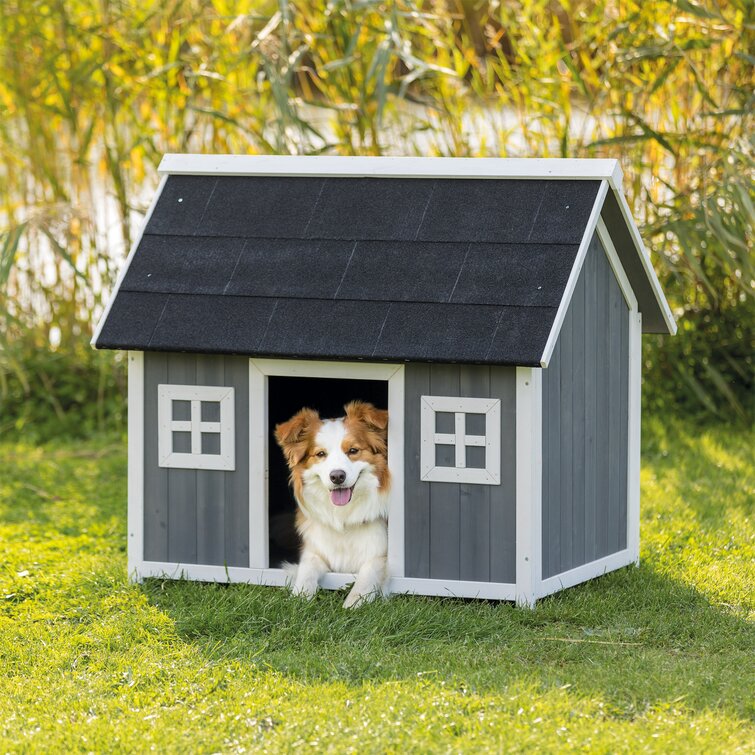 Archie & Oscar™ Achilles Gray Bunk Style Dog House & Reviews