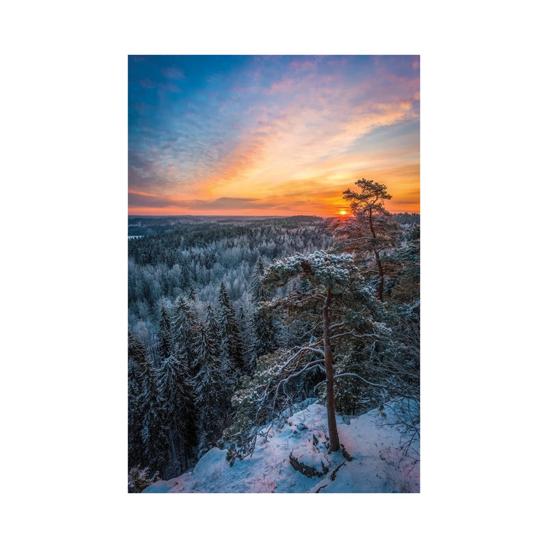 First Light Of Winter by Lauri Lohi - Wrapped Canvas Print, 20.32 cm H x 30.48 cm W