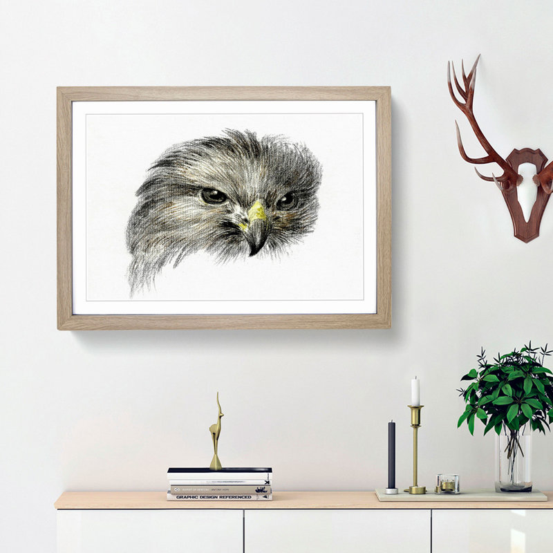 Bird of Prey by Jean Bernard - Picture Frame Painting Print, 48cm H x 65cm W x 2cm D, Oak Framed