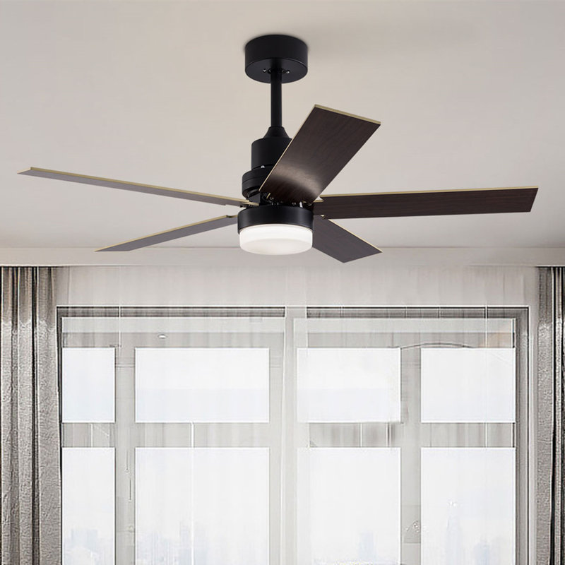 48'' Ceiling Fan with LED Lights