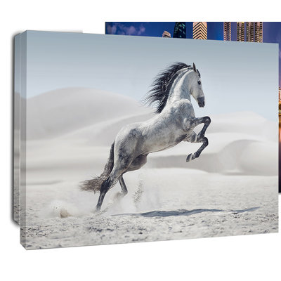 Photographie d'un cheval blanc au galop