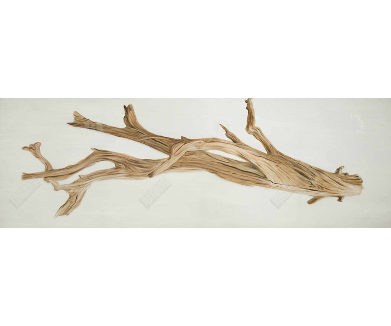 «Floated Wood» sur toile, H 16 po x l 48 po