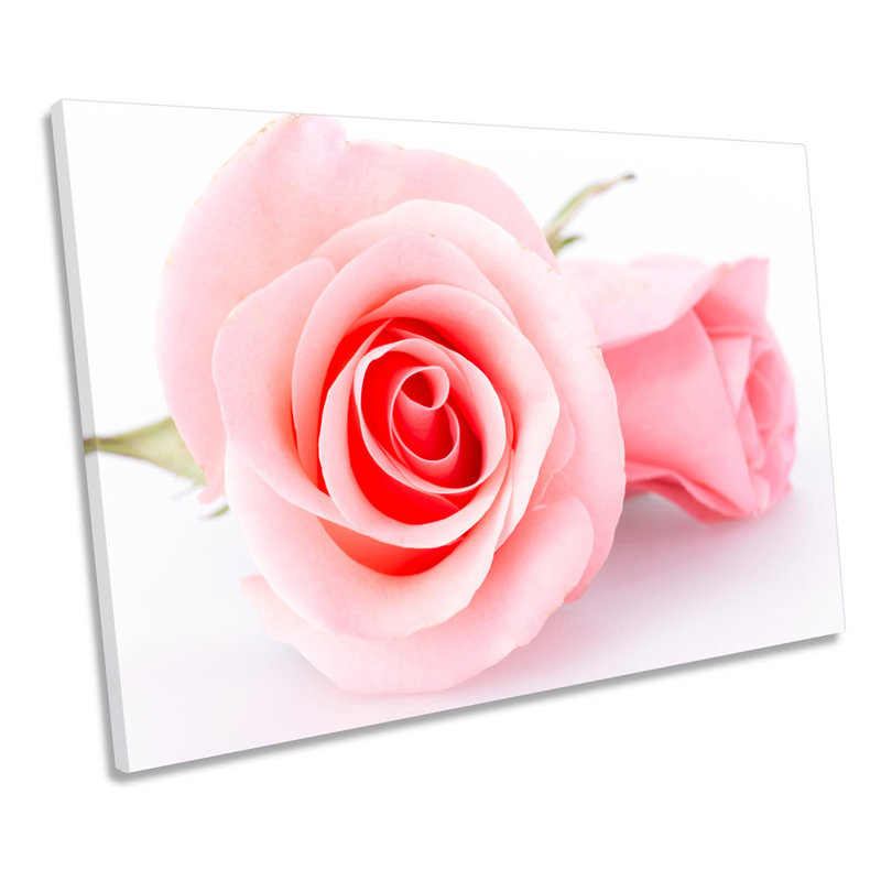 Pair Pink Floral Flower Rose - Wrapped Canvas Print, 40.6cm H x 61cm W x 2cm D