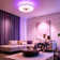 Hemion 19.6" RGB Ceiling Fan with Led Lights and Remote Control