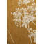 Barrview Recycled P.E.T Area Rug-832868635