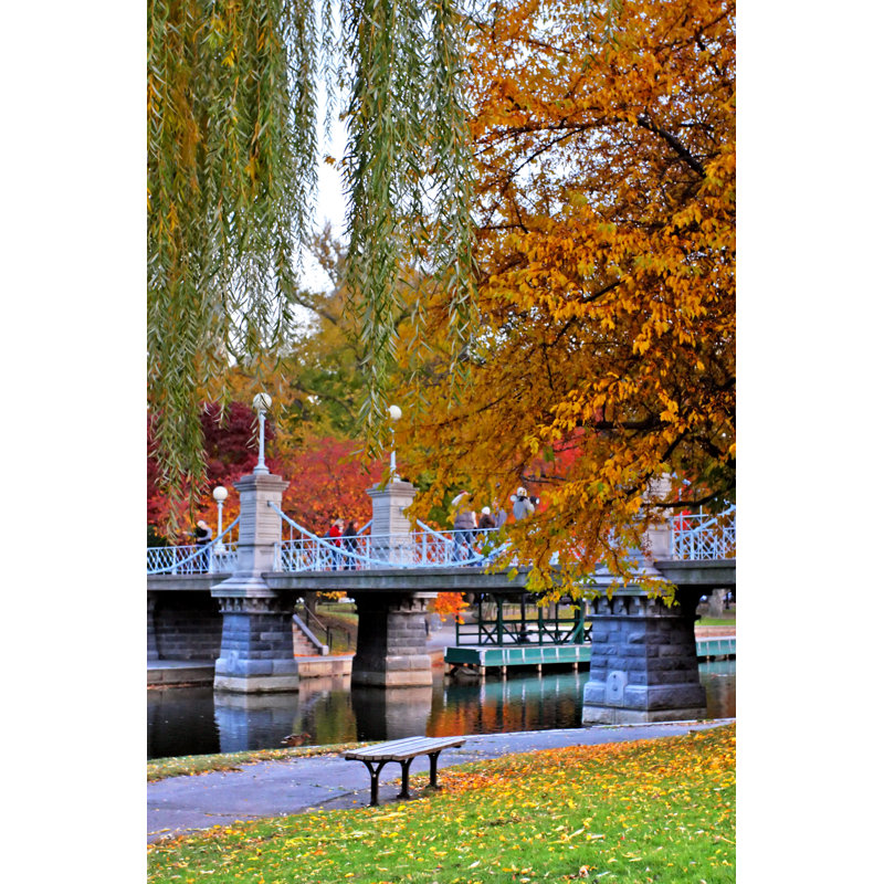 Boston Public Garden - Illustration sans cadre sur toile, H 18 po x l 12 po