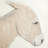 " Burro Dia " by Paul Meyer-101534118