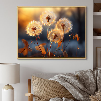 " Dandelion Morning Moments IV "