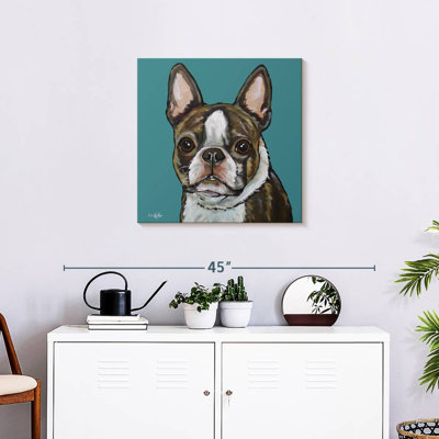 Brampt Sasha Boston Terrier sur sarcelle
