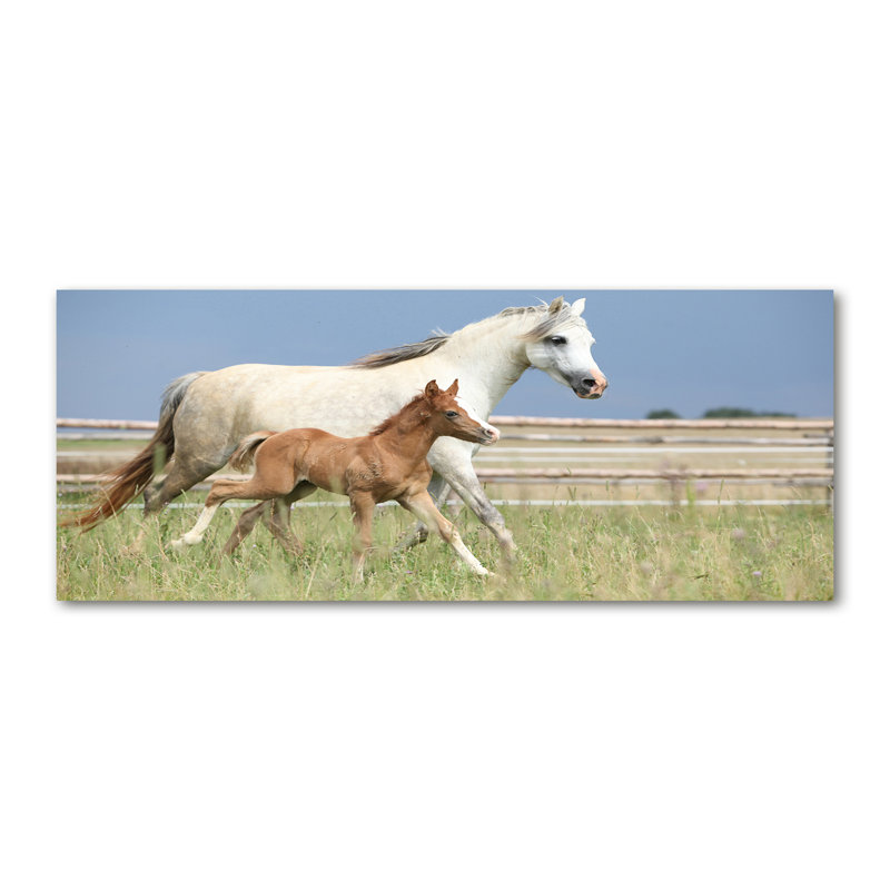 Mare With Foal - No Frame Print on Canvas