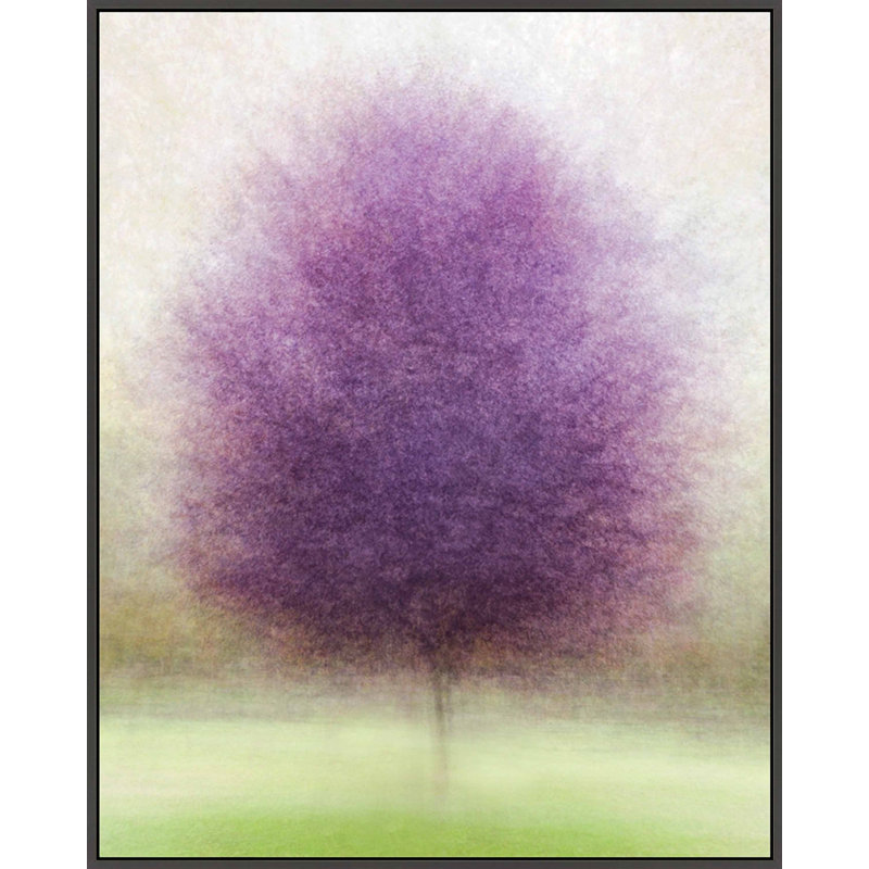 Purpurea by Laura Zimmerman - Framed Wall Art, Black Framed Canvas, 30" H x 24" W