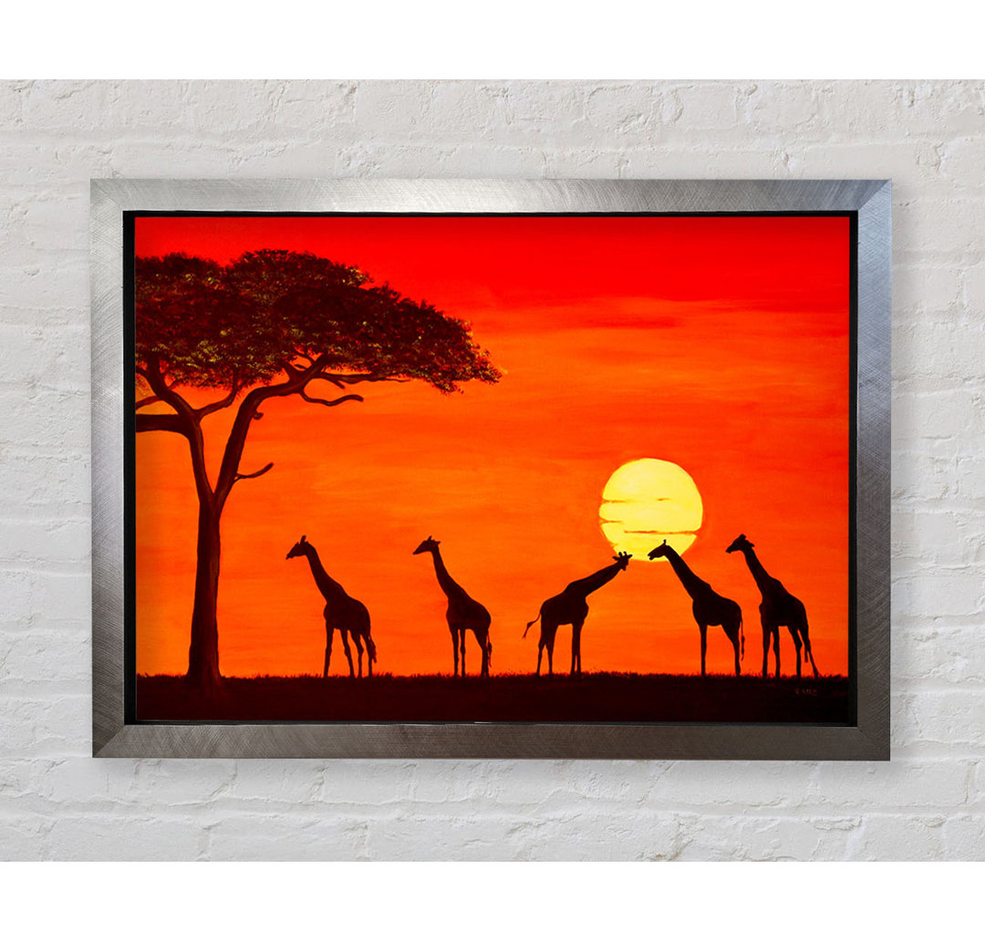 Giraffen bei Sonnenuntergang - Druck