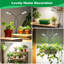 Naomi Grow Light