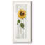 Impression de cadre photo sur papier-362401020