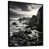 Black Floater Framed
