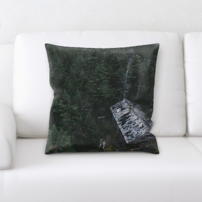 Coussin ancien et abandonné Griggs