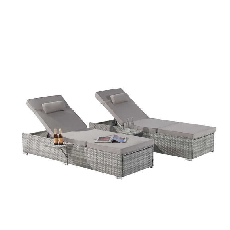 Ensemble de 2 chaises longues d'extérieur avec chaises longues pour l'extérieur, Gris clair