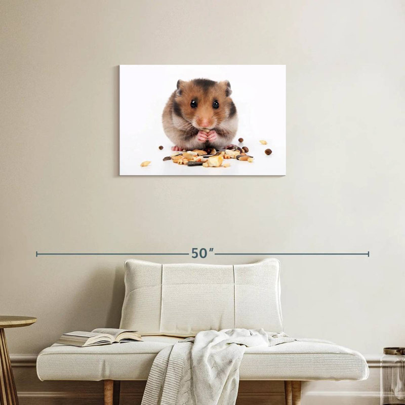Hamster mangeant des noix et des graines, H 20 po x l 30 po