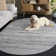 Bethlyn Gray/Light Gray Area Rug