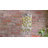 Crispn Outdoor Chandelier