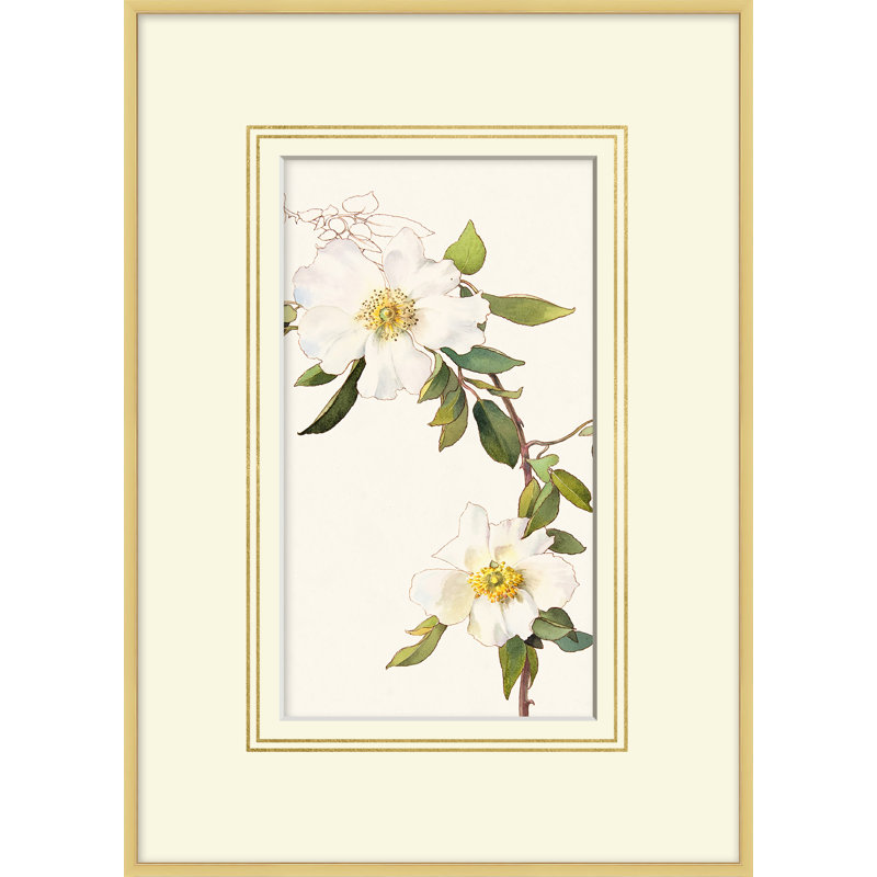 Blooming Study 9 Print