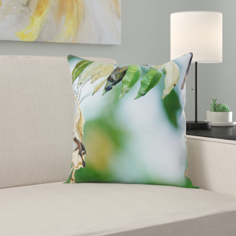 Coussin brun