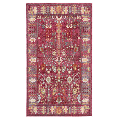Chantae Performance Oriental Rug