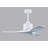 Nan 42" Ceiling Fan In Blades-12185776-61451709
