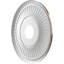Médaillon de plafond en PVC thermoformé Berkshire de 16 po x P 3 1/2 po x P 1 po (convient aux auvents jusqu'à 7 po), brume métallique perlée universelle-123387899-123387900