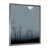 Silver Single Picture Framed