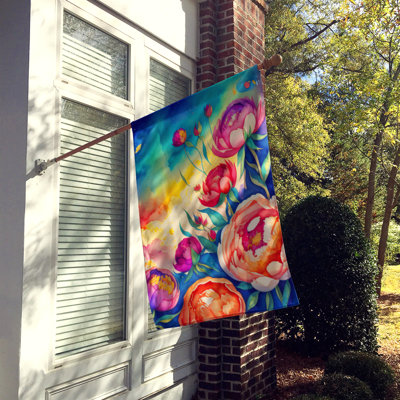 Double Sided 40'' H x 28'' W Polyester House Flag