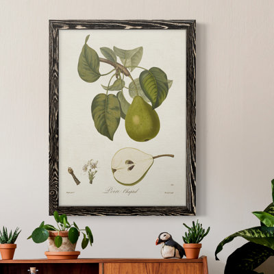 Toile encadrée vintage avec poires rétro VI - prêt à accrocher