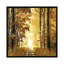 «Sunlit Forest I», impression sur toile-20893413-73160009-73160010
