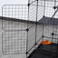Pet Crate with 2 Doors