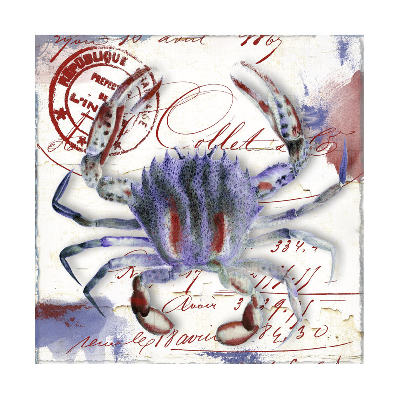 Art sur toile «ologia bella »Sasha Océanie, H 14 po x l 14 po