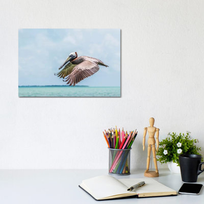 Belize, Ambergris Caye. Adult Brown Pelican Flies over the Caribbean Sea 1 Piece Wrapped Canvas Wall Art