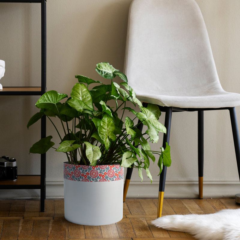 Pot de fleurs d'intérieur en métal Templos