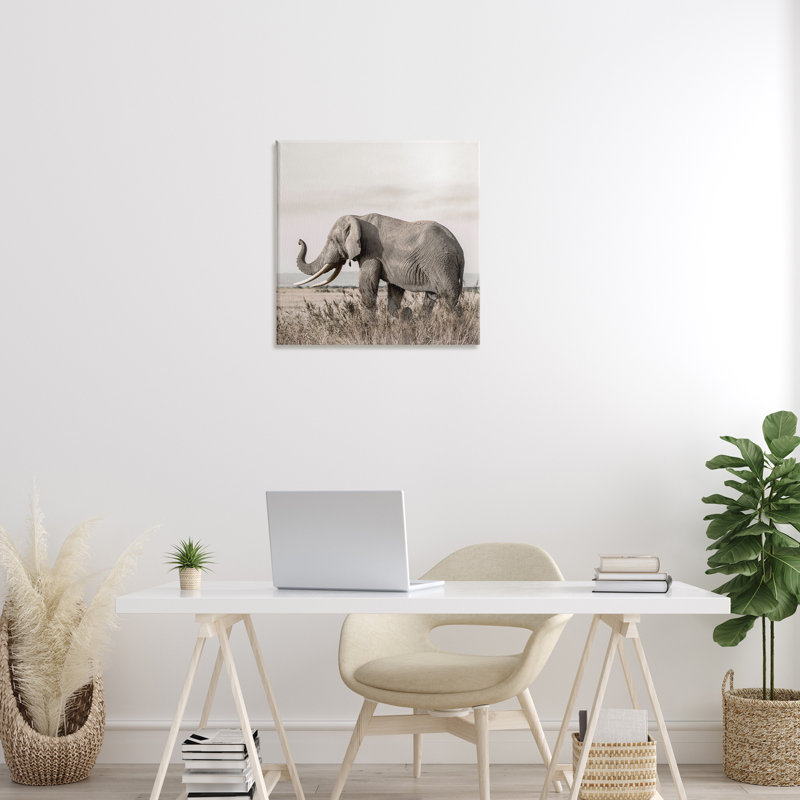 Art mural sur toile Serene Elephant in Nature, design par Danita Delimont, 24" H x 24" W