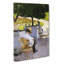 The Orange Trees by Gustave Caillebotte - Wrapped Canvas-61851095