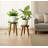 Teak Wood Plant Stand Set Of 2