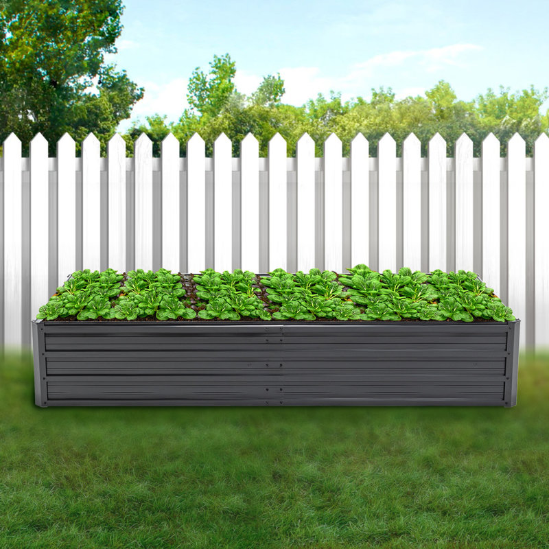Lit de jardin surélevé Shumel, H 25 po x l 86,3 po x P 44,1 po