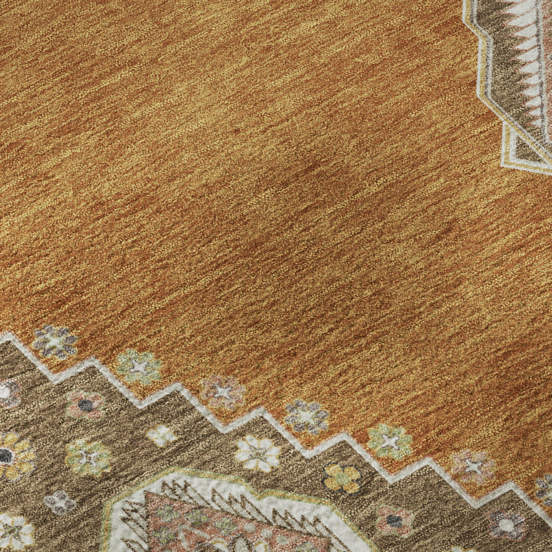 Premium Machine Washable Guada AMF1014 Oriental Rug, Rectangle 9' x 12'