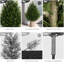 Adorable plante en pot de cèdre artificiel-225449834-225449832