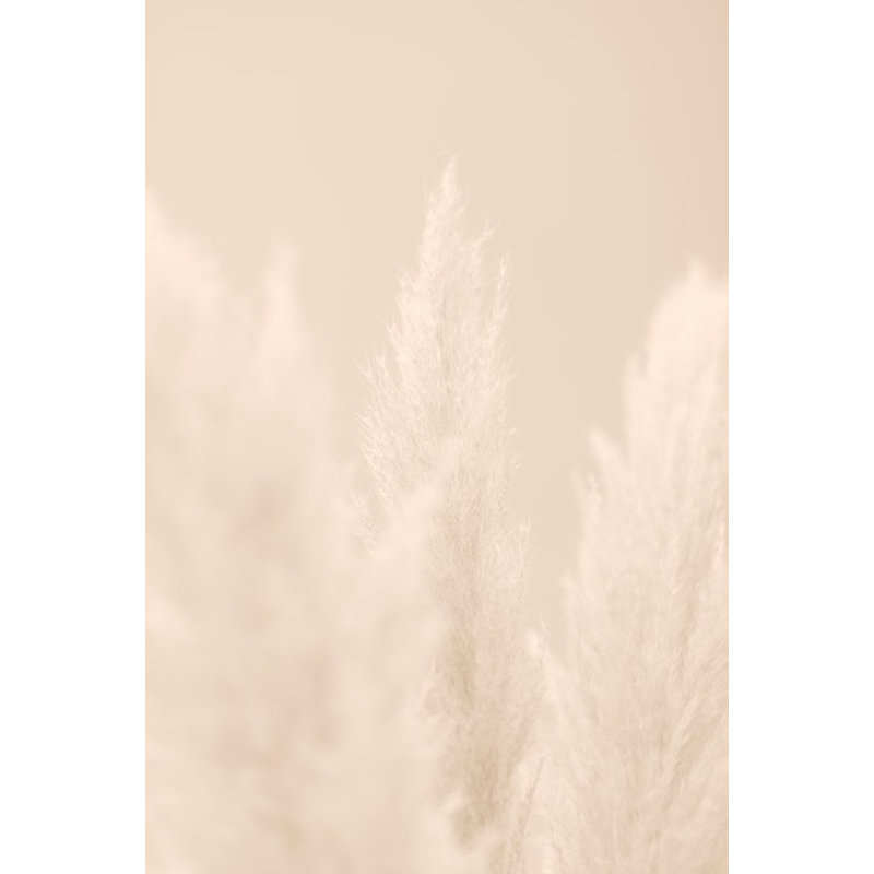 Wrapped Canvas Print, 81.28cm H x 121.92cm W