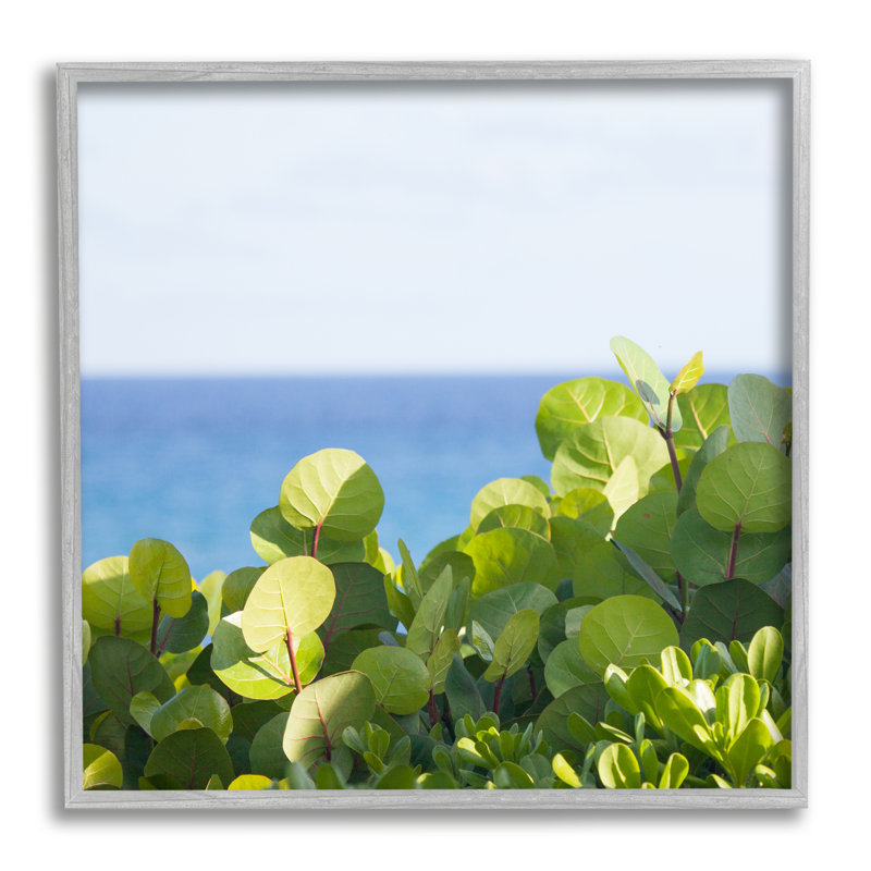 Plantes luxuriantes au loin, H 12 po x l 12 po x P 1,5 po, gris