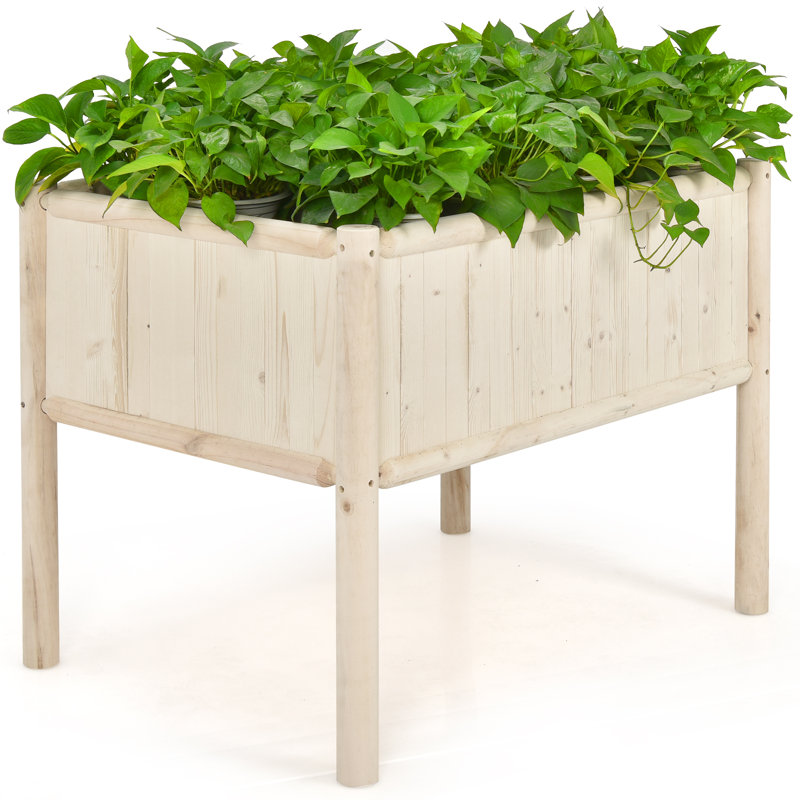 Adreille Wood Liner Plant Stand