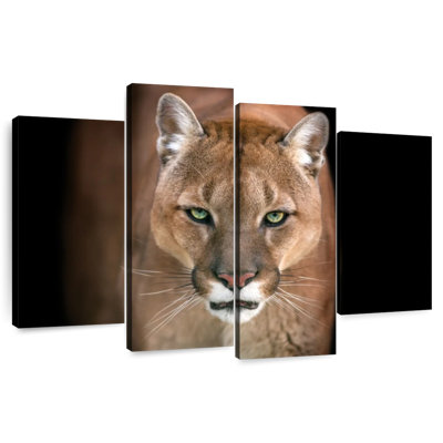 Brampt Fierce Puma